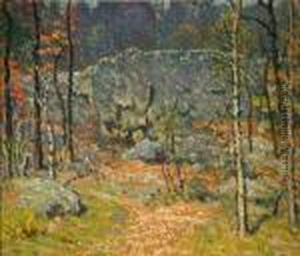 Woodland Interior, Autumn - view 1