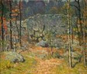 Woodland Interior, Autumn Woodland Interior, Autumn