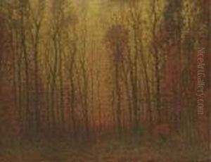 Sunset Through The Woods Sunset Through The Woods
