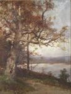 Lakeside View With Large Tree by John Joseph Enneking
