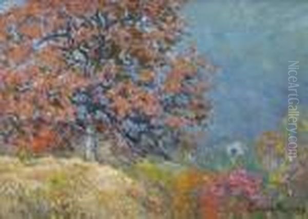 ''oaktree'' - view 1