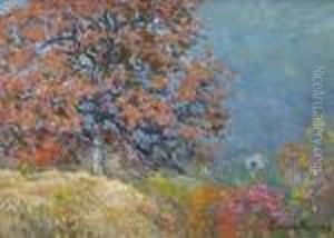 ''oaktree''