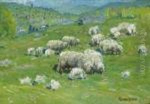 ''sheep Grazing''