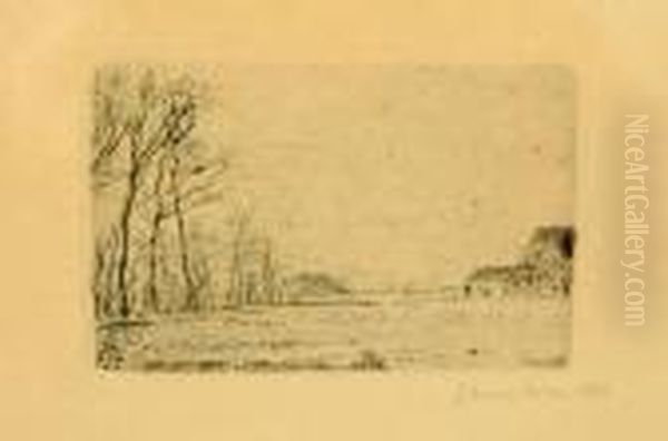 Lisiere Du Petit Bois, Ostende - view 1