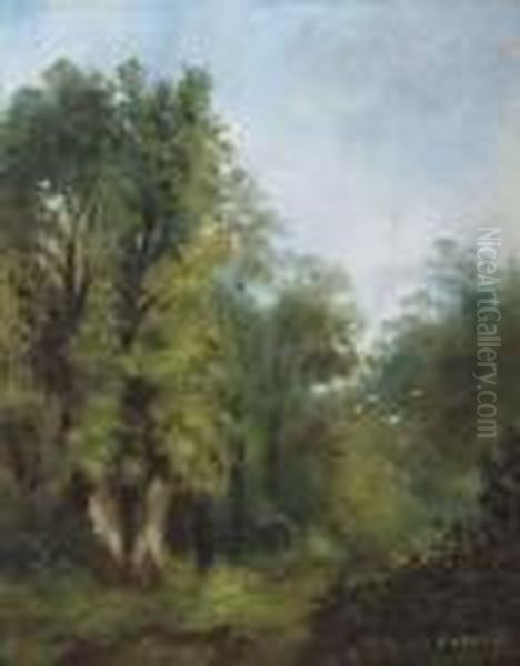 Paysage - view 1