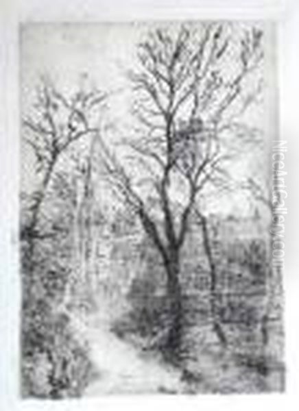 Sentier A Groenendael - view 1