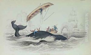 Greenland Whale by William Home Lizars