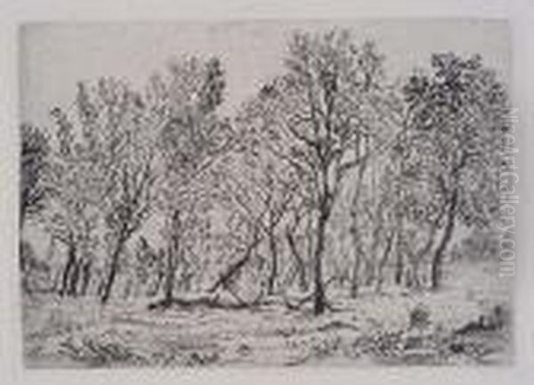 Bouquet D'arbres - view 1