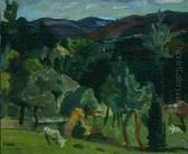 Rural Scene - view 1