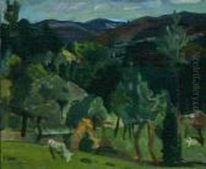 Rural Scene Rural Scene