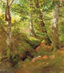 A forest at midday