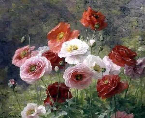 Cluster of Poppies - view 1