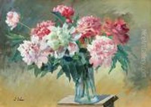 Peonie Peonie