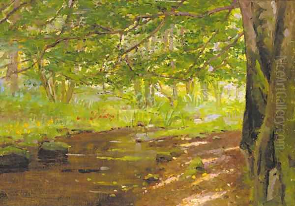 A sunlit woodland stream - view 1