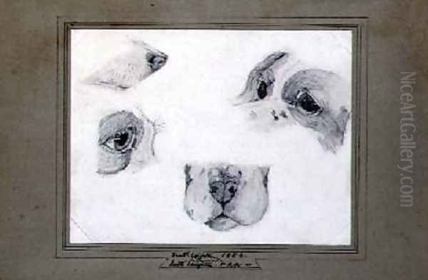 Studies of the Artists Dog - view 1