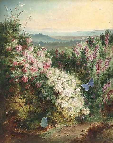 An extensive spring landscape with heather in bloom and butterflies - view 1