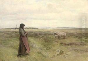 A shepherdess knitting
