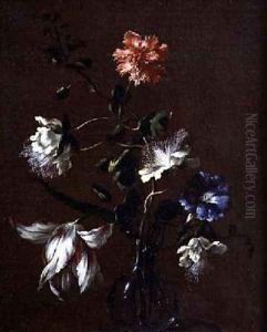 Still life of Caper Flowers Carnations Bindweed and Tulips by Gasparo Lopez