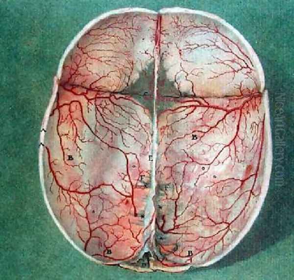 The Brain 2 - view 1