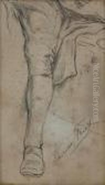 Study Of A Man's Leg - view 1