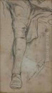 Study Of A Man's Leg
