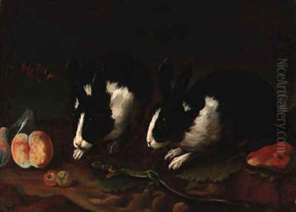 Rabbits - view 1