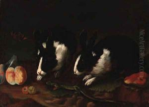 Rabbits Rabbits