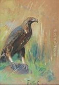 Orzel