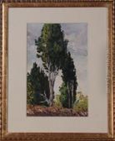 "pappelu" - view 1
