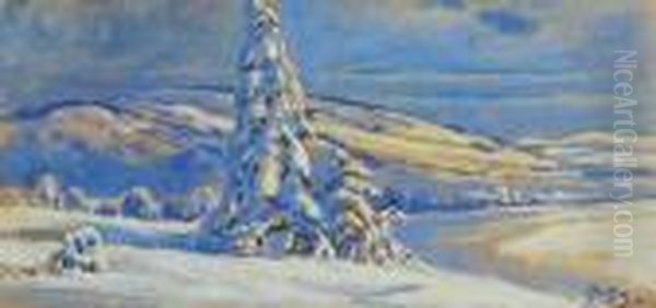 Zima W Bystrej - view 1