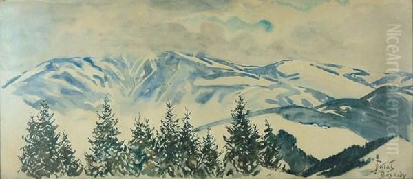 Beskidy - view 1