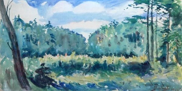 Bystra, Las - view 1