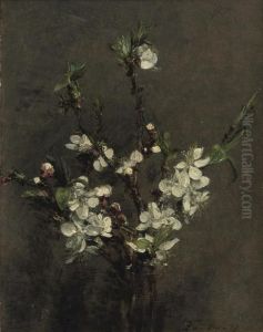 Fleurs D'arbre Fruitier