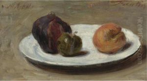 Nature Morte Nature Morte