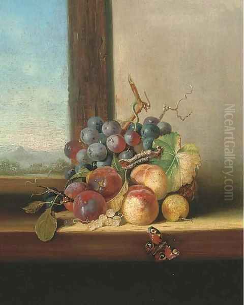 Grapes, plums, nectarines and a butterfly, on a windowsill - view 1