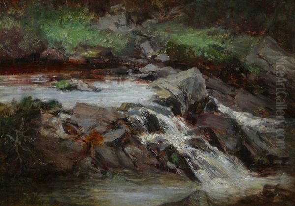 The Lornty Burn Blairgowrie (rocky River Study) - view 1