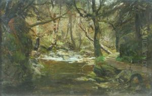 A Shaded Burn by David Farquharson