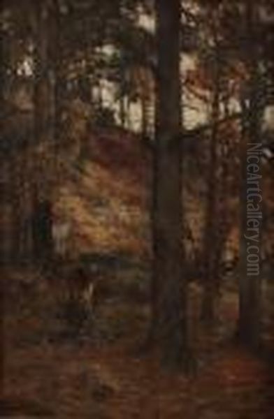 Forest Glade - view 1