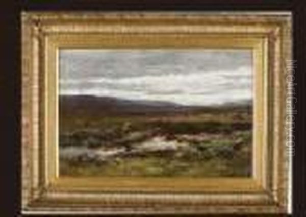 A Ross Shire Moor - view 1