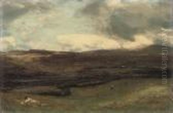 Mushrooms - view 1
