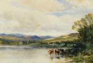 A Lowland Moor by David Farquharson