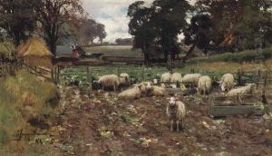 Sheep Among The Roots Sheep Among The Roots