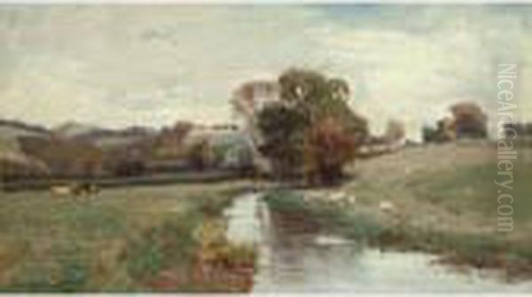 Autumn - view 1