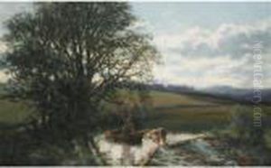Meadow Scene Near Carrie Bridge, Blairgowrie by David Farquharson