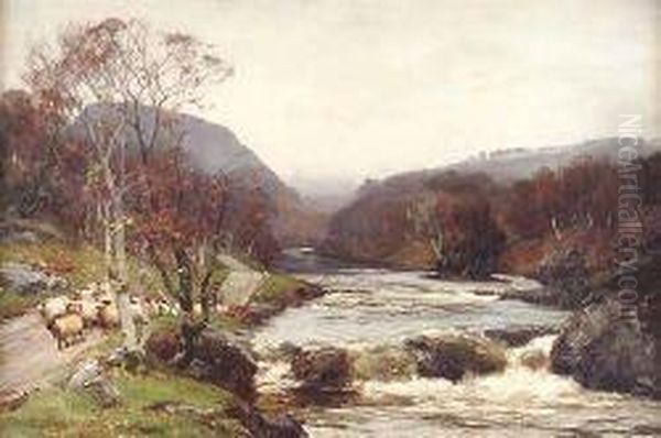Autumn On The Tummel - view 1