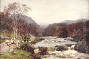 Autumn On The Tummel by David Farquharson