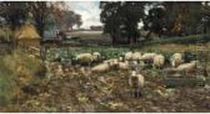 A Winter Feed A Winter Feed