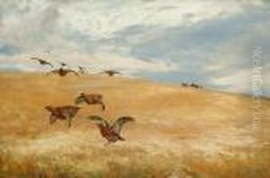 Grouse In Flight Over A Cornfield by David Farquharson