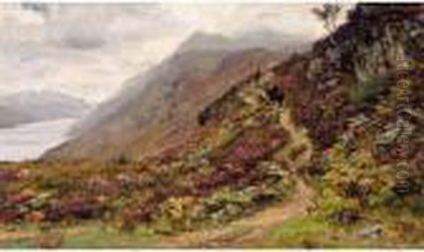 Path To Ben Lomond - view 1