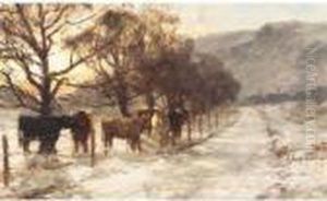 Cattle In Winter